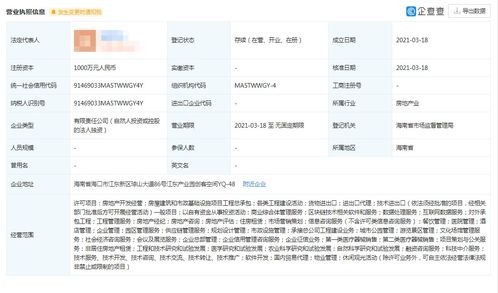 中創(chuàng)國遠控股公司 區(qū)塊鏈技術(shù)軟件與服務轉(zhuǎn)讓公告