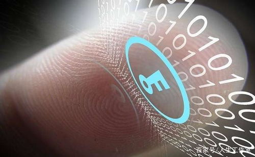 區(qū)塊鏈動態(tài)2021年1月29日午參速遞 技術軟件與服務發(fā)展新趨勢